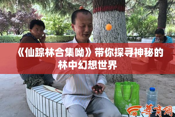 《仙踪林合集呦》带你探寻神秘的林中幻想世界