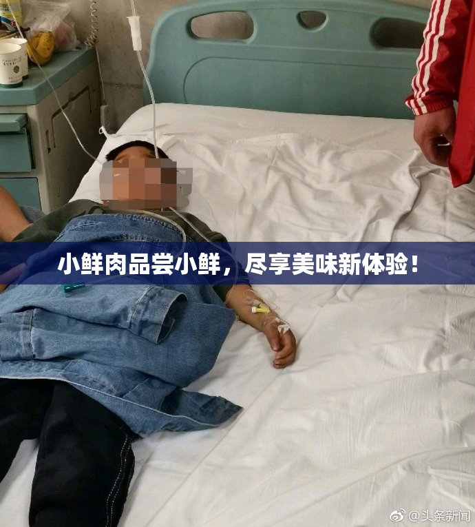 小鲜肉品尝小鲜，尽享美味新体验！