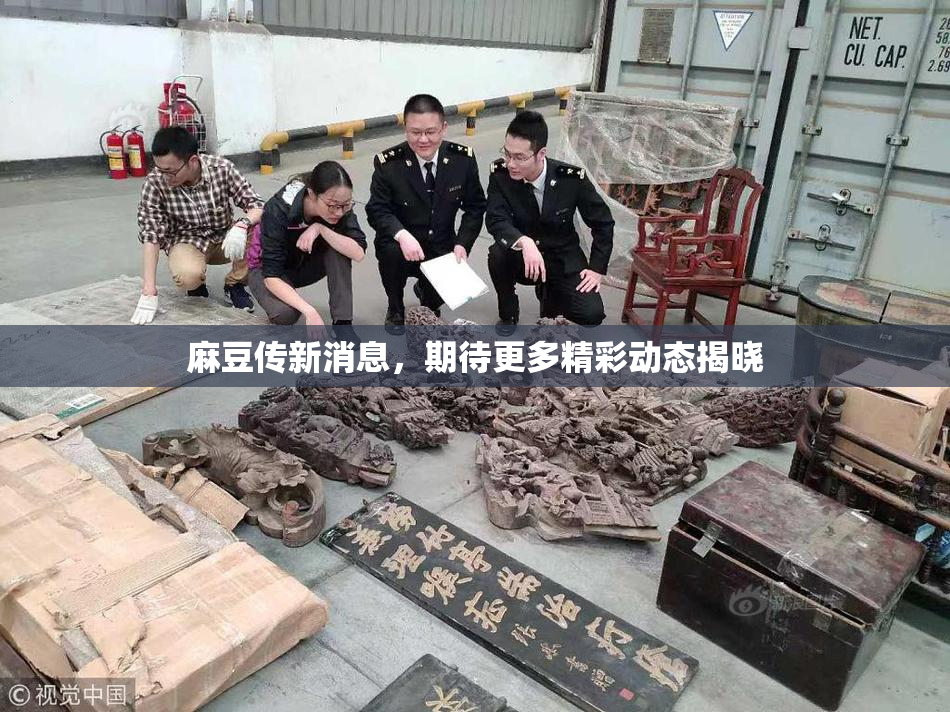 麻豆传新消息，期待更多精彩动态揭晓