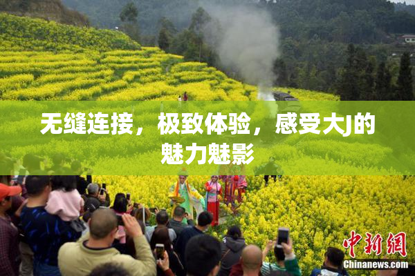 无缝连接，极致体验，感受大J的魅力魅影