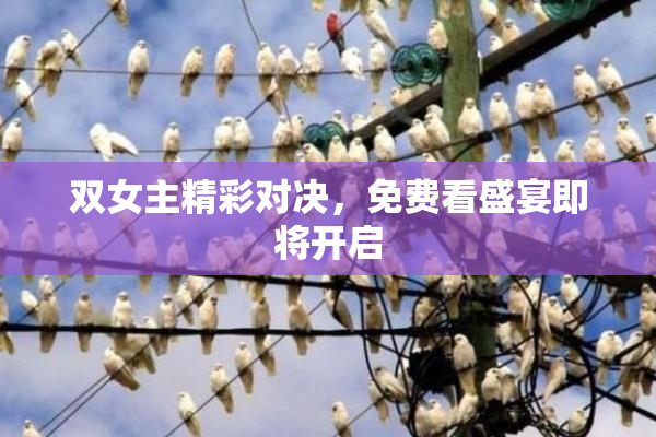 双女主精彩对决，免费看盛宴即将开启