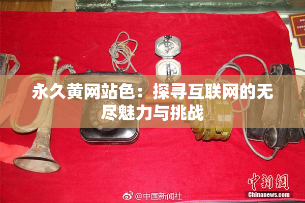 永久黄网站色：探寻互联网的无尽魅力与挑战