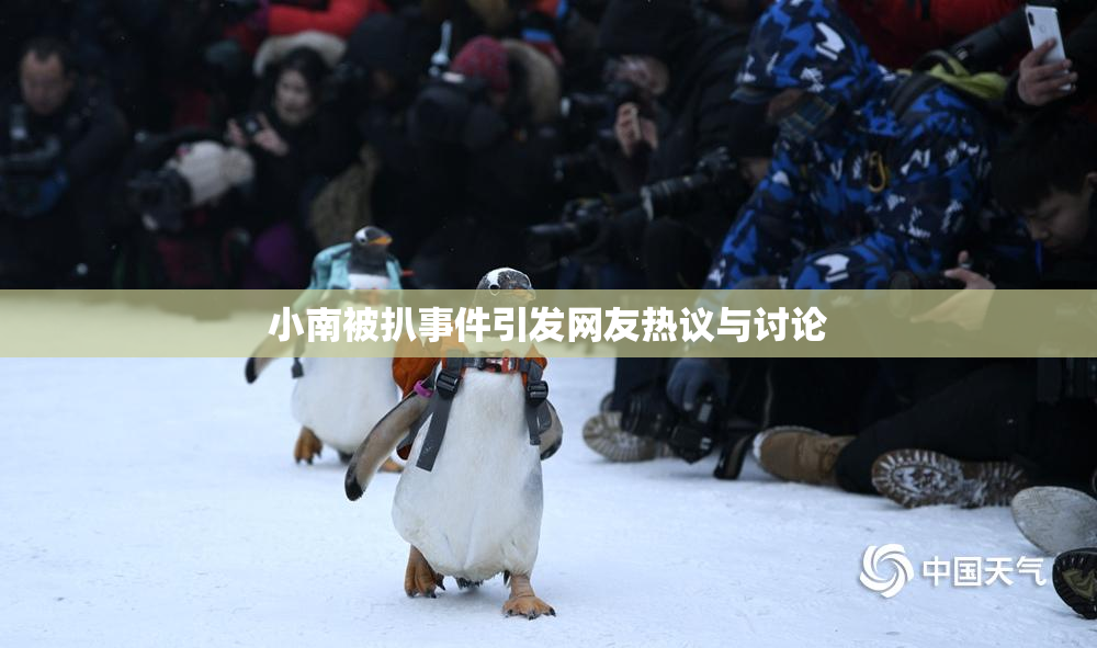 小南被扒事件引发网友热议与讨论