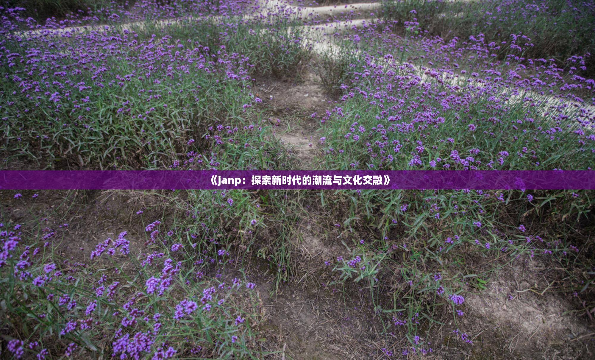 《janp：探索新时代的潮流与文化交融》
