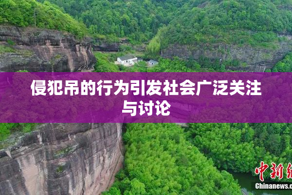 侵犯吊的行为引发社会广泛关注与讨论