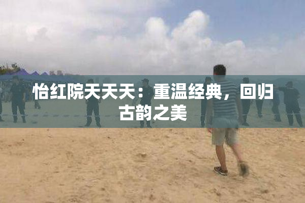 怡红院天天天：重温经典，回归古韵之美