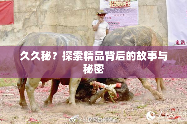 久久秘？探索精品背后的故事与秘密
