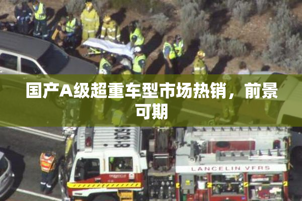 国产A级超重车型市场热销，前景可期