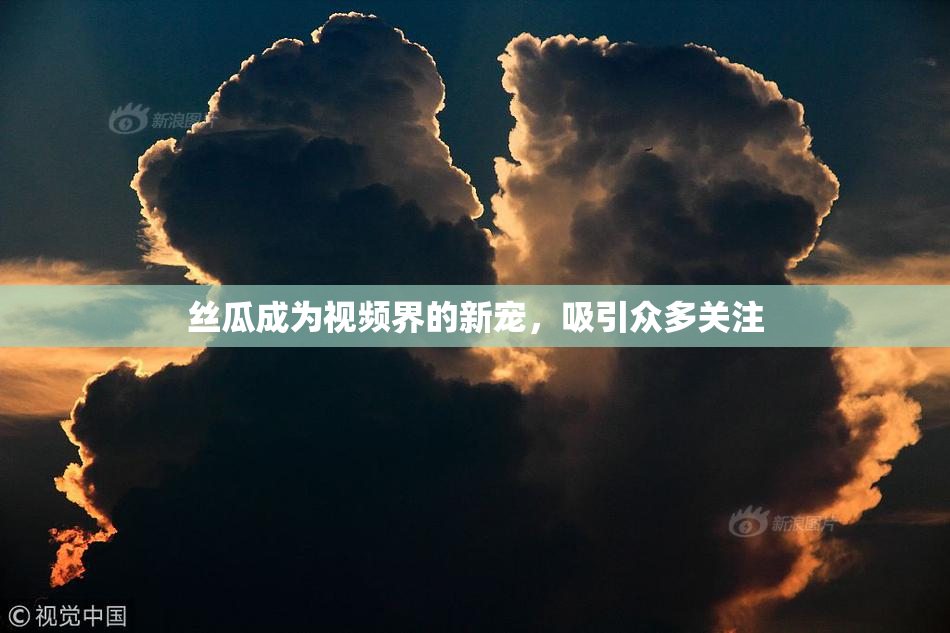 丝瓜成为视频界的新宠，吸引众多关注