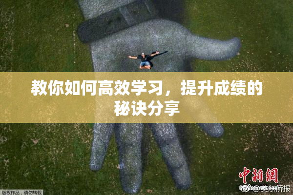 教你如何高效学习，提升成绩的秘诀分享