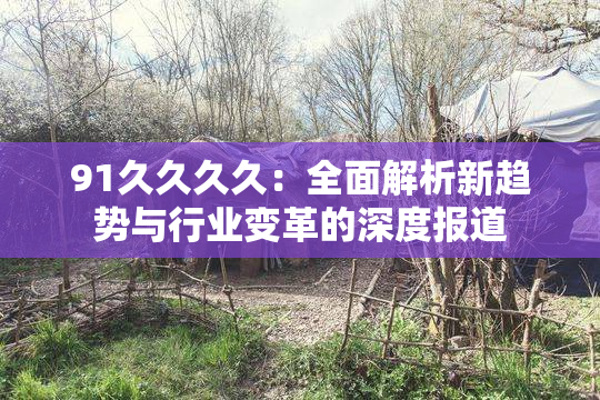 91久久久久：全面解析新趋势与行业变革的深度报道