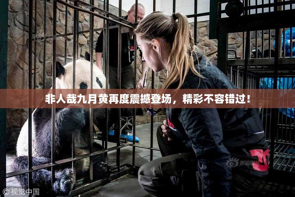 非人哉九月黄再度震撼登场，精彩不容错过！