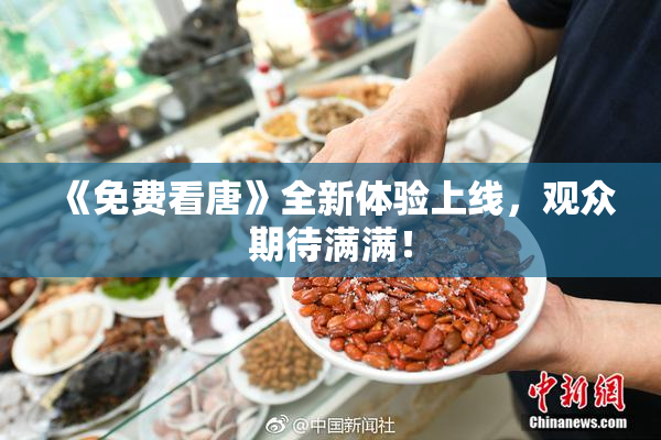《免费看唐》全新体验上线，观众期待满满！