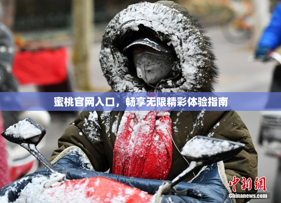 蜜桃官网入口，畅享无限精彩体验指南