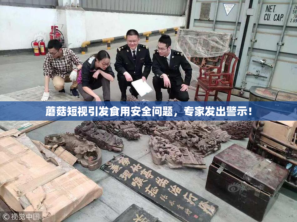 蘑菇短视引发食用安全问题，专家发出警示！