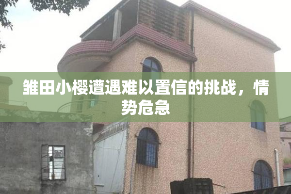 雏田小樱遭遇难以置信的挑战，情势危急