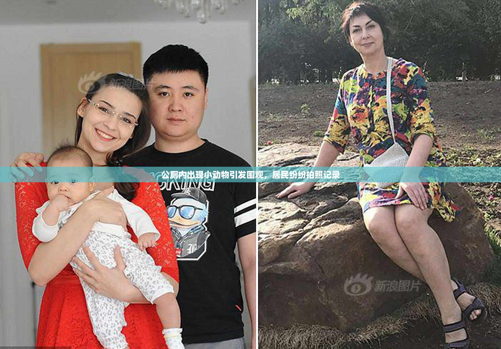 公厕内出现小动物引发围观，居民纷纷拍照记录