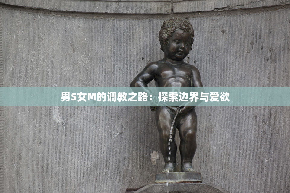 男S女M的调教之路：探索边界与爱欲