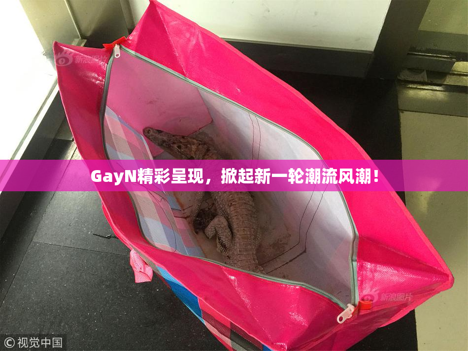 GayN精彩呈现，掀起新一轮潮流风潮！