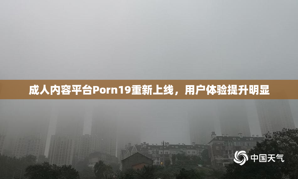 成人内容平台Porn19重新上线，用户体验提升明显