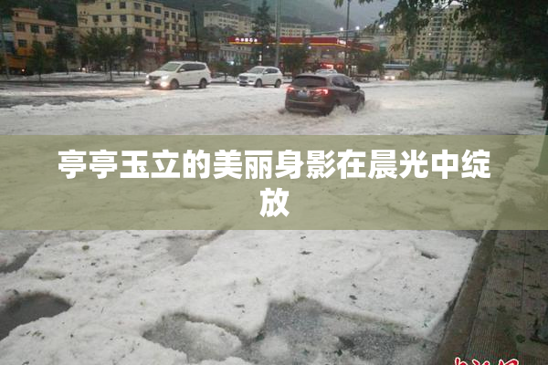 亭亭玉立的美丽身影在晨光中绽放