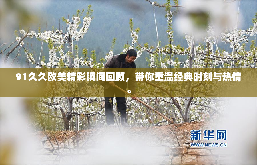 91久久欧美精彩瞬间回顾，带你重温经典时刻与热情。