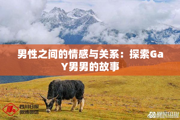 男性之间的情感与关系：探索GaY男男的故事