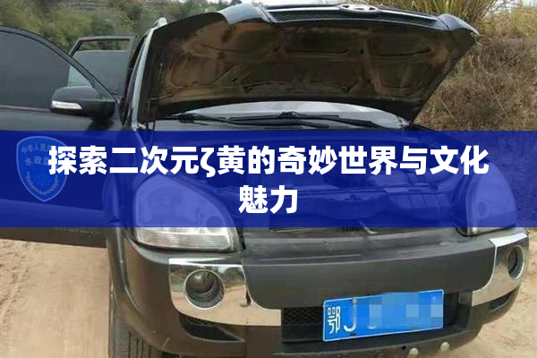 探索二次元ζ黄的奇妙世界与文化魅力