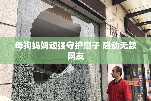 母狗妈妈顽强守护崽子 感动无数网友