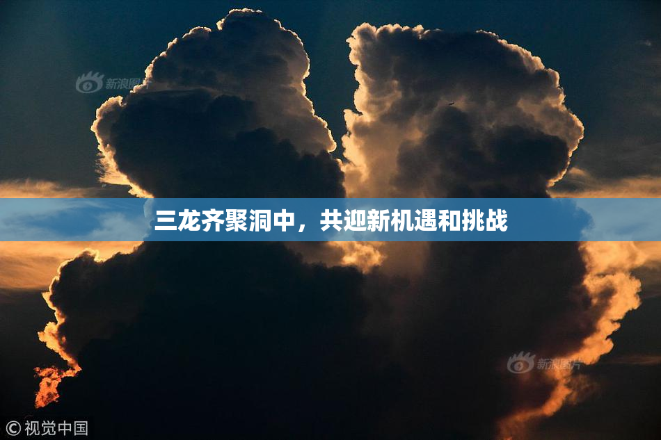 三龙齐聚洞中，共迎新机遇和挑战