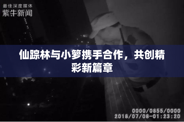 仙踪林与小箩携手合作，共创精彩新篇章
