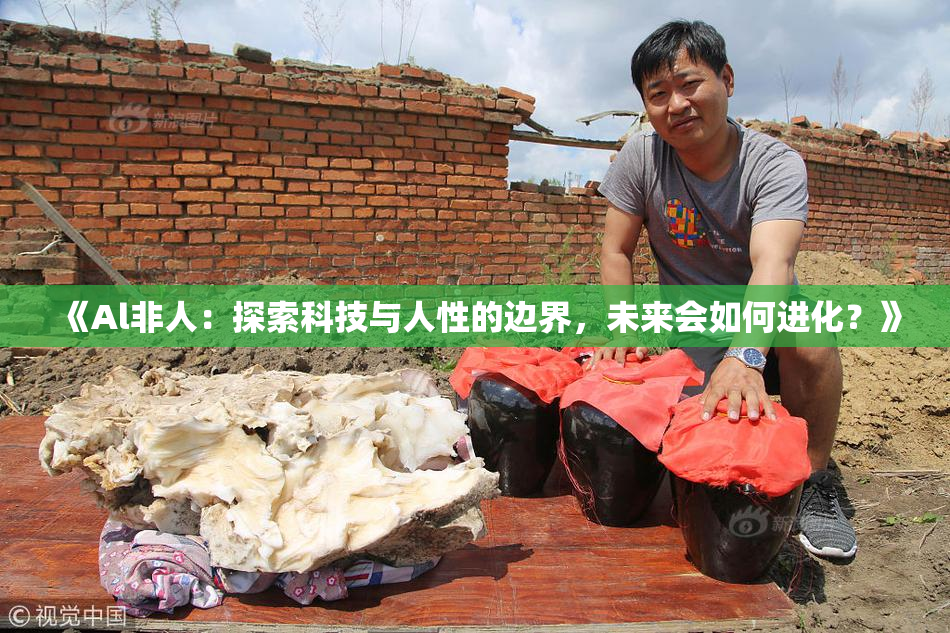 《Al非人：探索科技与人性的边界，未来会如何进化？》
