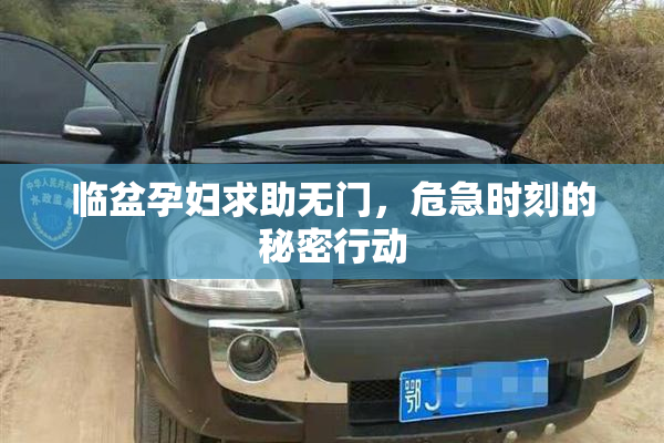 临盆孕妇求助无门，危急时刻的秘密行动
