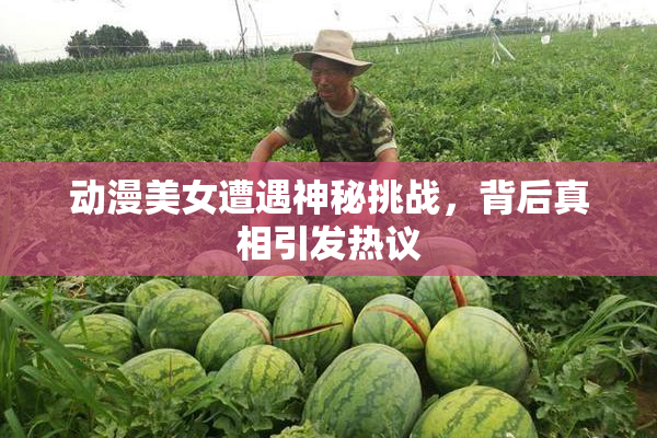 动漫美女遭遇神秘挑战，背后真相引发热议