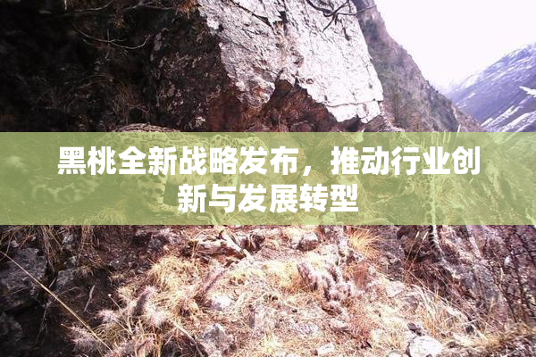 黑桃全新战略发布，推动行业创新与发展转型