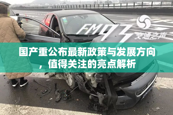 国产重公布最新政策与发展方向，值得关注的亮点解析