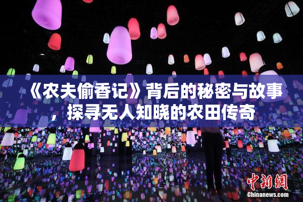 《农夫偷香记》背后的秘密与故事，探寻无人知晓的农田传奇