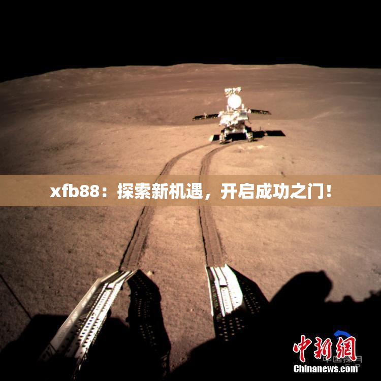 xfb88：探索新机遇，开启成功之门！