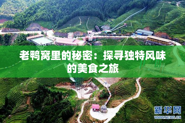 老鸭窝里的秘密：探寻独特风味的美食之旅