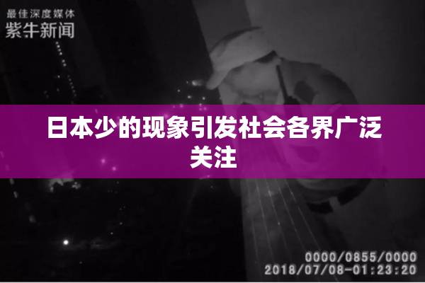 日本少的现象引发社会各界广泛关注