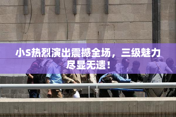 小S热烈演出震撼全场，三级魅力尽显无遗！