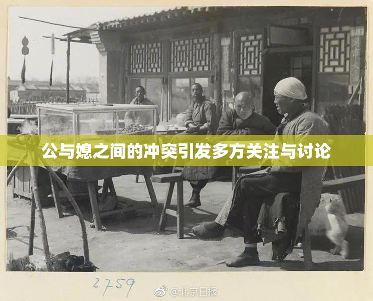 公与媳之间的冲突引发多方关注与讨论