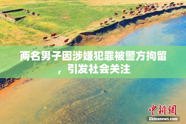 两名男子因涉嫌犯罪被警方拘留，引发社会关注
