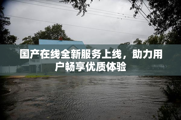 国产在线全新服务上线，助力用户畅享优质体验