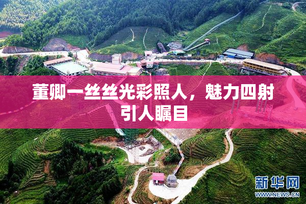董卿一丝丝光彩照人，魅力四射引人瞩目