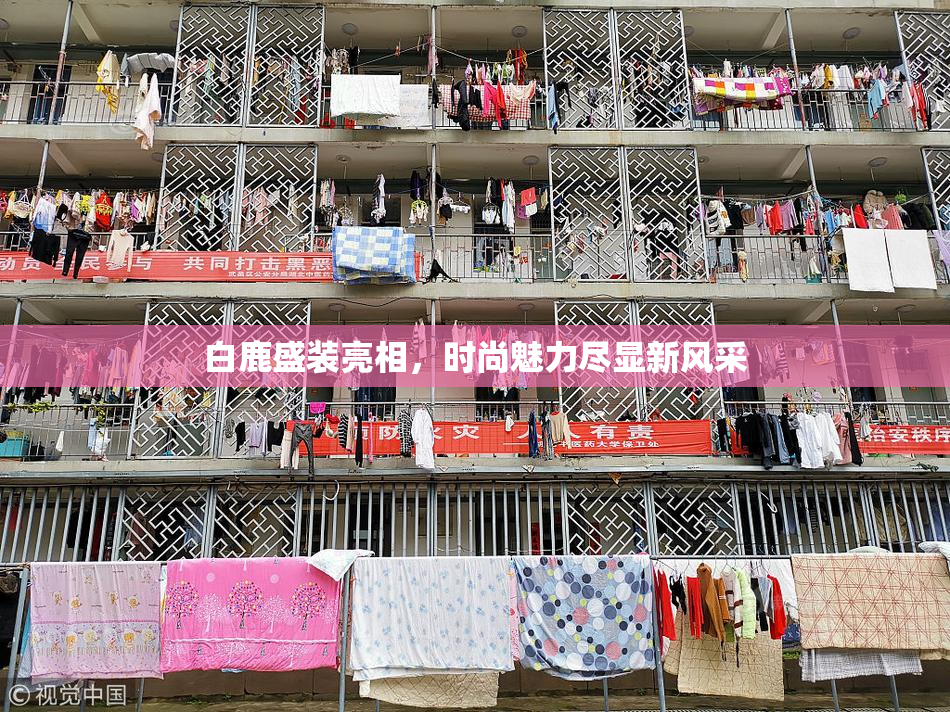 白鹿盛装亮相，时尚魅力尽显新风采