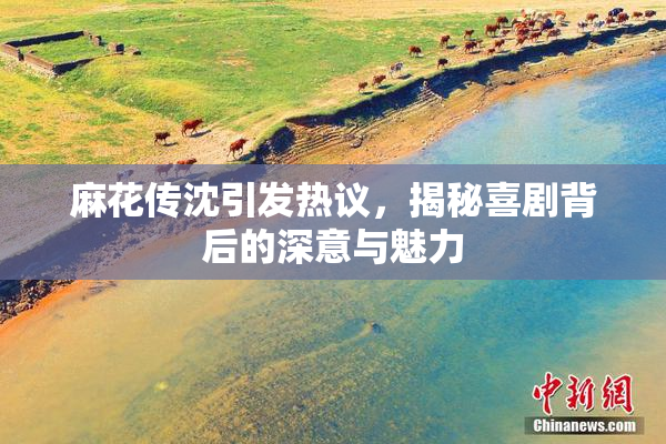麻花传沈引发热议，揭秘喜剧背后的深意与魅力
