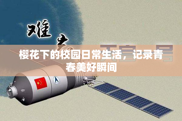 樱花下的校园日常生活，记录青春美好瞬间