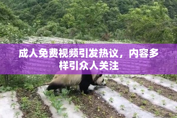 成人免费视频引发热议，内容多样引众人关注