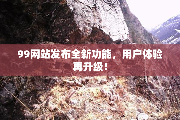 99网站发布全新功能，用户体验再升级！